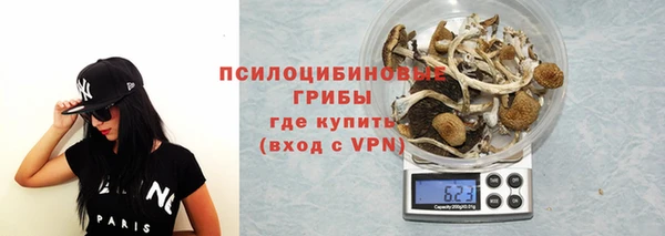 винт Абинск